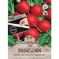 Sperli Radieschen Parat, Saatband – 1 Pkg Sperli Radieschen Parat, Saatband – 1 Pkg