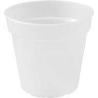 elho green basics Orchidee | transparent – 17 cm elho green basics Orchidee | transparent – 17 cm