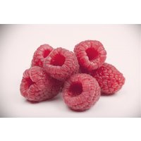 Kategorie <b>Beeren </b> - Rubus idaeus Boheme 30-40 cm