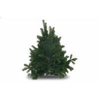 Kategorie <b>Produkt ohne Kategoriezuordnung </b> - Nordmann Schnittgrün – Handbund – 500 g