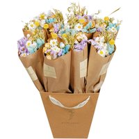 Kategorie <b>Produkt ohne Kategoriezuordnung </b> - Trockenblumen Strauß handgebunden pastel delight 50cm