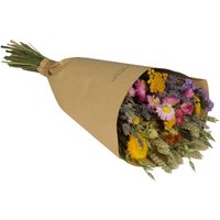 Kategorie <b>Produkt ohne Kategoriezuordnung </b> - Trockenblumen Strauß Feldstrauß Stil medium handgebunden multi 50cm
