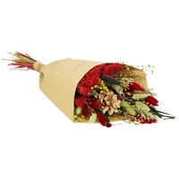 Kategorie <b>Produkt ohne Kategoriezuordnung </b> - Trockenblumen Strauß Feldstrauß Stil medium handgebunden holiday cheer 50cm