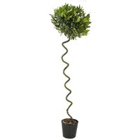 Kategorie <b>Produkt nicht gewünscht </b> - Laurus nobilis Korkenzieher 180 cm Höhe 40 cm Durchmesser