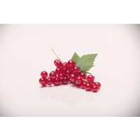 Kategorie <b>Beeren </b> - Ribes rubrum 'Rovada'