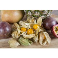 Kategorie <b>Produkt nicht gewünscht </b> - Physalis peruviana