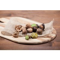 Kategorie <b>Laubbäume </b> - Juglans regia