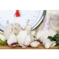 Kategorie <b>Produkt nicht gewünscht </b> - Allium sativum var.sativum