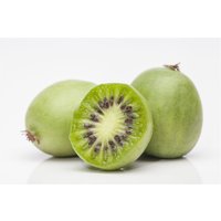 Kategorie <b>Produkt nicht gewünscht </b> - Actinidia arguta 60-100 cm