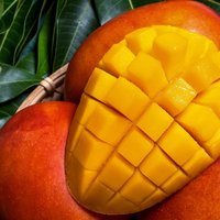 Mango Tangerine Sample
