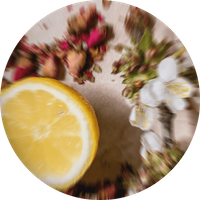 Capri Citron - Sample