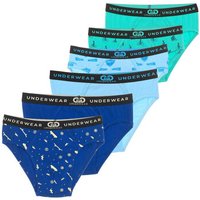 Le Petit Garçon LPG1011-SURTIDO boys's Underpants / Brief in Multicolour