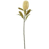 Spartoo Deal Enjoy 12% Discount on Hill Interiors HI4804 Multicolour Plants
