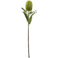 Spartoo Deal Enjoy 12% Discount on Hill Interiors HI4804 Green Plants