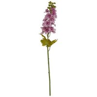 Spartoo Deal Enjoy 11% Discount on Hill Interiors HI4812 Purple Plants