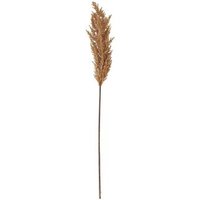 Spartoo Deal Enjoy 12% Discount on Hill Interiors HI4915 Multicolour Plants