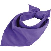 Sols  Schal BANDANA Morado Oscuro-PAÑUELO DE CUELLO COMPLEMENTO Sols  Schal BANDANA Morado Oscuro-PAÑUELO DE CUELLO COMPLEMENTO