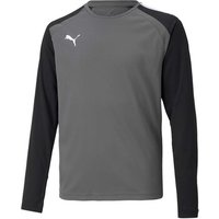 Puma  T-Shirts & Poloshirts Teampacer Gk Ls Jersey Jr Puma  T-Shirts & Poloshirts Teampacer Gk Ls Jersey Jr