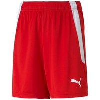Puma  7/8 & 3/4 Hosen Teamliga Puma  7/8 & 3/4 Hosen Teamliga