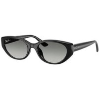 Ray-ban  Sonnenbrillen UNISEX 0RB4457D 667711 Ray-ban  Sonnenbrillen UNISEX 0RB4457D 667711