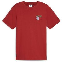 Puma  T-Shirt 624665-24 Puma  T-Shirt 624665-24