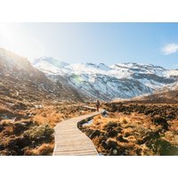 Rundreisen Neuseeland : Flexible Mietwagen-Rundreise ab Auckland bis Christchurch: Neuseeland Rundreisen Neuseeland : Flexible Mietwagen-Rundreise ab Auckland bis Christchurch: Neuseeland