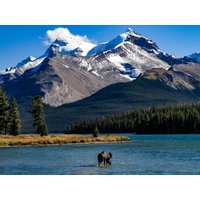 Rundreisen Kanada – Westkanada: Flexible Mietwagen-Rundreise ab Vancouver bis Edmonton: Kanadas Heiße Quellen entdecken Rundreisen Kanada – Westkanada: Flexible Mietwagen-Rundreise ab Vancouver bis Edmonton: Kanadas Heiße Quellen entdecken