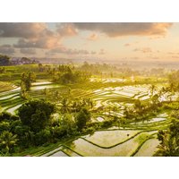 Rundreisen Indonesien – Bali Nord & Süd : Baustein-Rundreise ab/bis Denpasar: Tempelzauber und Tropenvielfalt Rundreisen Indonesien – Bali Nord & Süd : Baustein-Rundreise ab/bis Denpasar: Tempelzauber und Tropenvielfalt