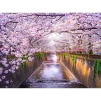 Rundreisen Japan: Individuelle Rundreise: Faszination Japan Rundreisen Japan: Individuelle Rundreise: Faszination Japan