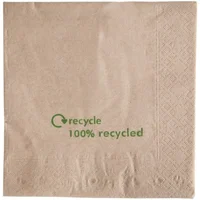 Napkin Kraft 100% Recycled 33x33cm X 2000