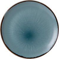 Dudson Harvest Evolve Coupe Plates Blue 260mm (12 Pack)
