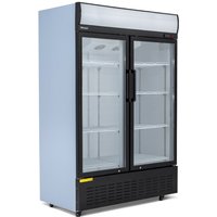 BLIZZARD Blizzard Double Glass Door Display Merchandiser 908L GD900