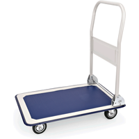 Platform trolley