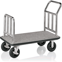 Luggage trolley Grey