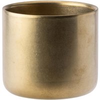 Utopia Artemis Double Wall Cups Rumbled Gold 82mm (6 Pack)