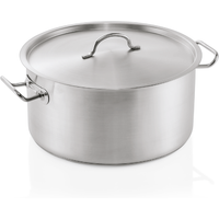 Stewpot with lid
