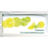 eGreen Large Freshening Hand Wipes (500 pack)