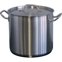 Forje WSS16 Stock Pot