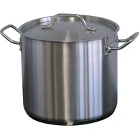 Forje WSS12 Stock Pot