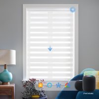 Motorized Light Control Zebra Blinds
