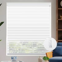 Light Control Shangri-La Sheer Shades