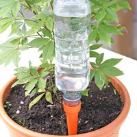 Easylife Automatic Watering Spikes Set Of in Blue, Size 8