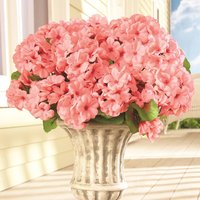 Faux Geraniums in , Size