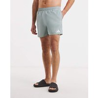 Essentials 5inch Swim Shorts XL39 43