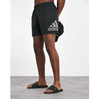 Big Logo Swim Shorts