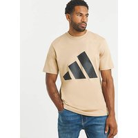 Big Logo T Shirt 2XL