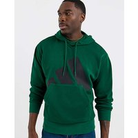 Big Logo French Terry Hoodie Green Black L40 44