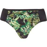 Curves Kano Bikini Brief
