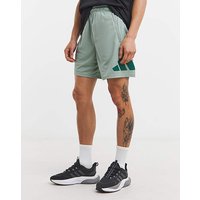 Training Essentials Logo Shorts