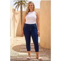 Cropped Denim Jeggings 22 24